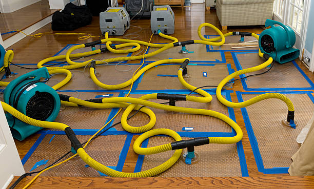 Professional Structural Drying And Dehumidification technician working in Ojai, CA